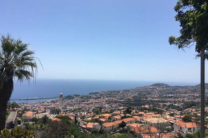 Funchal Private Vehicle Service with Driver for a Half Day or Full Day - A private car gives Madeira room to breathe