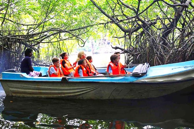 Galle Day Tour from Colombo or Negombo by Private Car , Van with Driver - Bentota Beach begins the coastal route