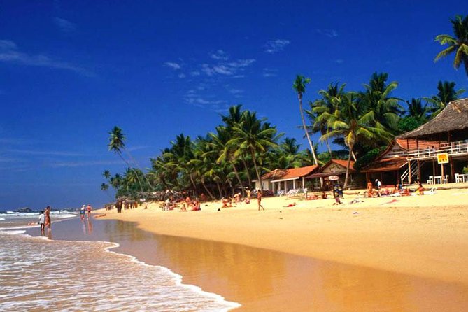 Galle Day Tour from Colombo or Negombo by Private Car , Van with Driver - Galle Dutch Fort is the day’s main event
