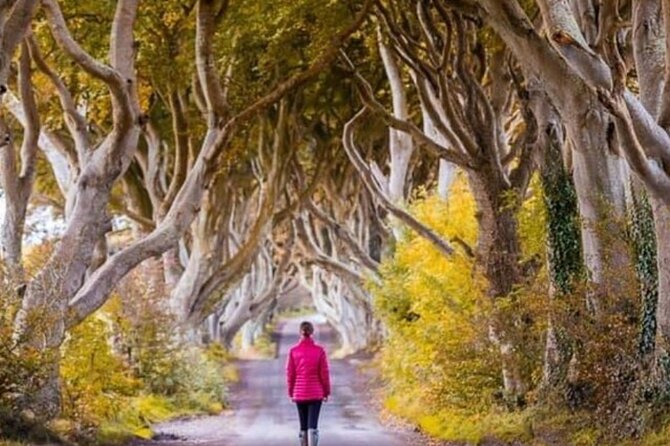 Giants Causeway and Belfast 2 Days with Private Chauffeur Tour - Who should book this tour