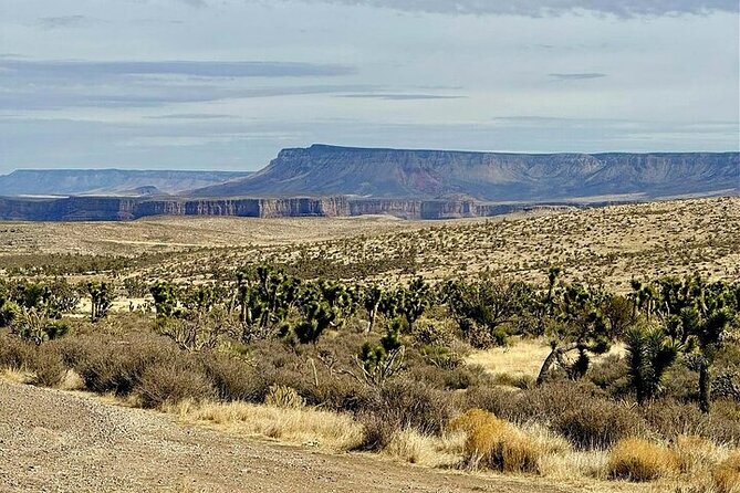 Grand Canyon Helicopter and Ranch Adventure by Luxury Vehicle - Who will enjoy this experience most