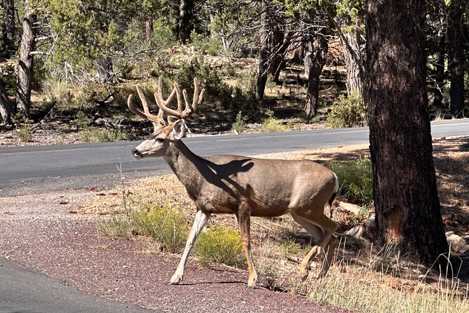 Grand Canyon Luxury Car Tour Experience - Lipan Point and the long canyon view