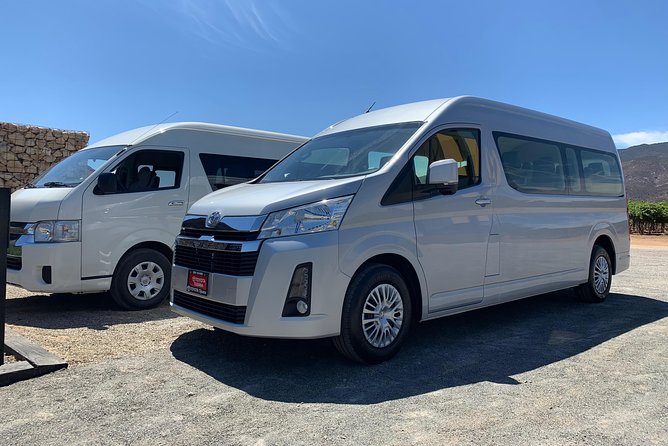 Guadalupe Valley Private Driver Tour - Viña de Frannes: vineyard views and Mexican wine