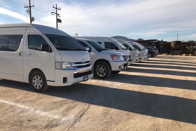 Guadalupe Valley Private Driver Tour - Monte Xanic: established name, broad views