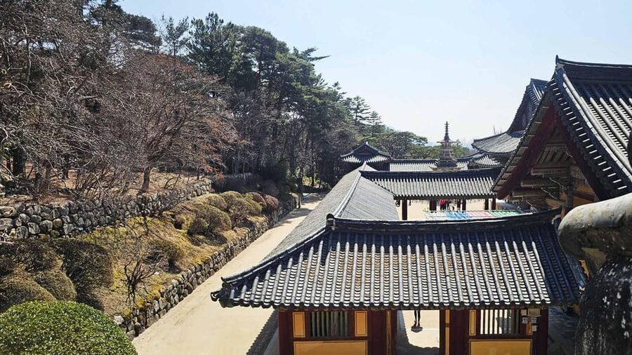 Gyeongju: Private Car Charter Taxi Tour - The eight-hour route is for serious sightseeing