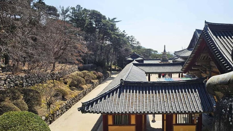 Gyeongju: Private Car Charter Taxi Tour - What the driver does, and what the driver may not do