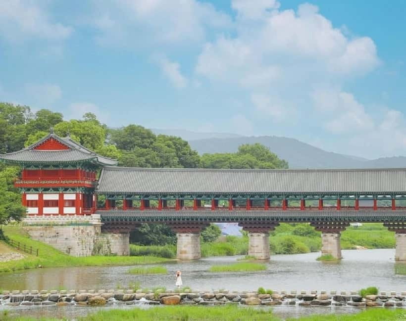 Gyeongju: Private Car Tour with a Licensed Tour Guide - Daereungwon’s royal burial mounds