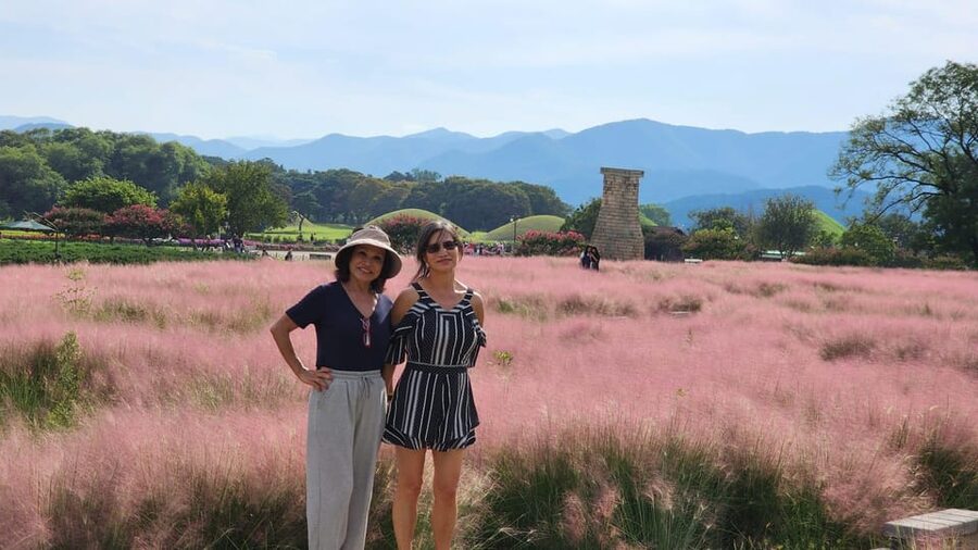 Gyeongju: Private Car Tour with a Licensed Tour Guide - Gyeongju National Museum and the objects behind the monuments