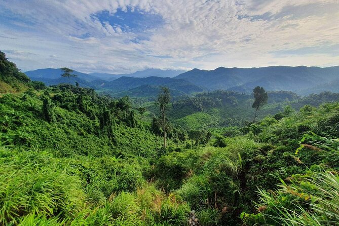 Hai Van pass private car tour from Hue-Da Nang-Hoi An (1Way|Loop) - The drivers and the private-car advantage