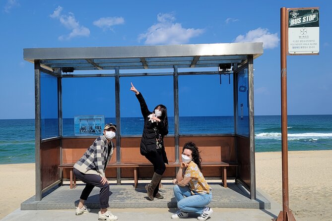 Half-Day Self-Guided Tour of Gangneung with Driver - Hyangho Beach and the K-pop bus stop