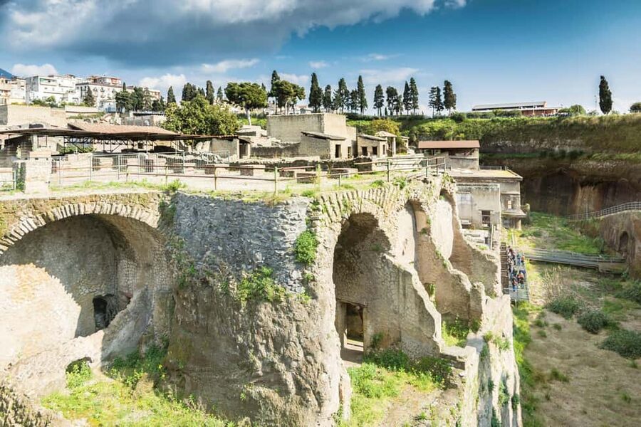 Herculaneum: Private Tour with Driver from Naples - Is $147 per person good value?