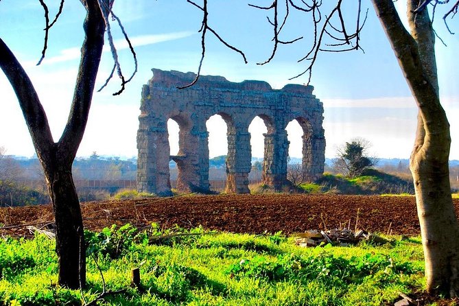 Hidden Rome - Private Tour with Driver - Aqueducts and open fields at Parco degli Acquedotti