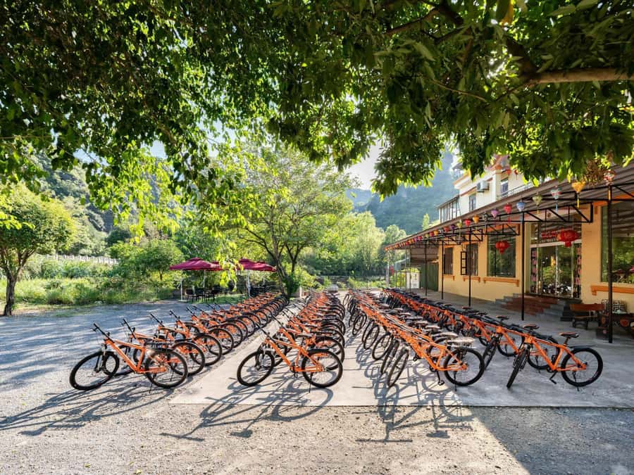 Hoa Lu - Tam Coc - Mua Cave / Limousine Transfer - From Hanoi to Hoa Lu, Vietnam’s former capital