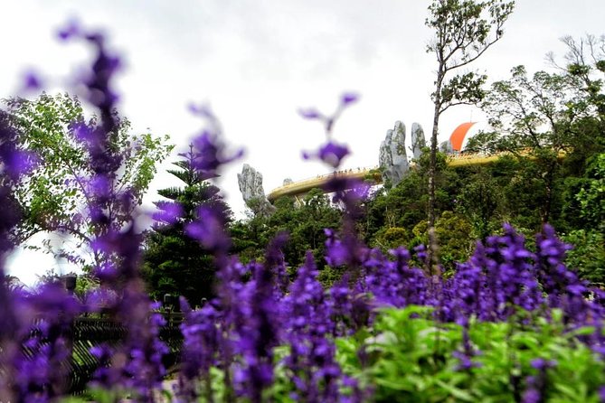 Hoi An to Ba Na Hills Private Car Transfer - The road to Ba Na Hills