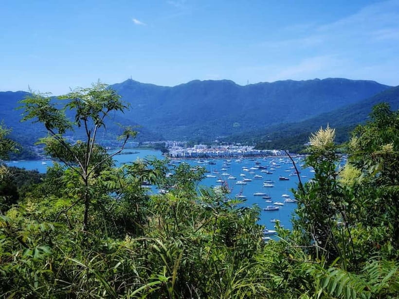 Hong Kong | Hiking and Hidden Gems Tour with Private Driver - Should you book this Hong Kong hiking tour?