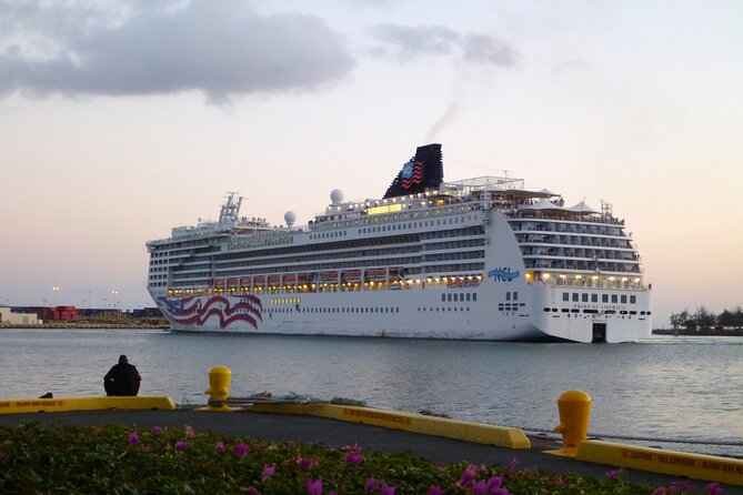 Honolulu Harbor Cruise Terminal Transfer by Luxury Vehicle - Meeting your driver at Honolulu Harbor