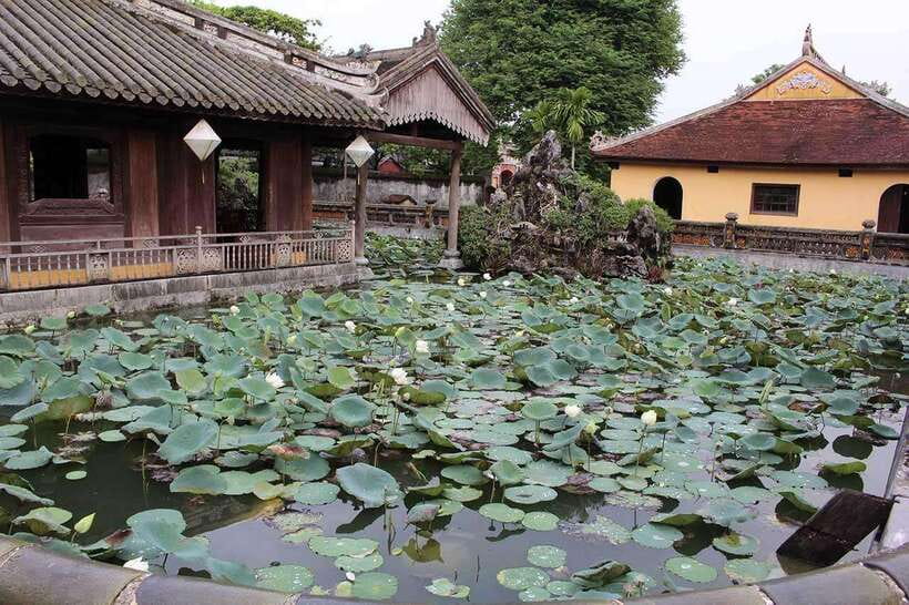 Hue Car Rental with Driver for Transfer Trip and Sightseeing - Lap An Lagoon, Lang Co Beach, and Hai Van Pass
