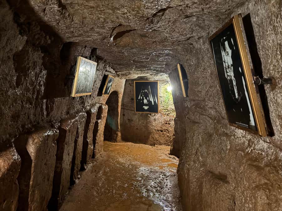 Hue: DMZ Half-Day Tour by Private Car to Vinh Moc Tunnels - The role of your driver and local guides