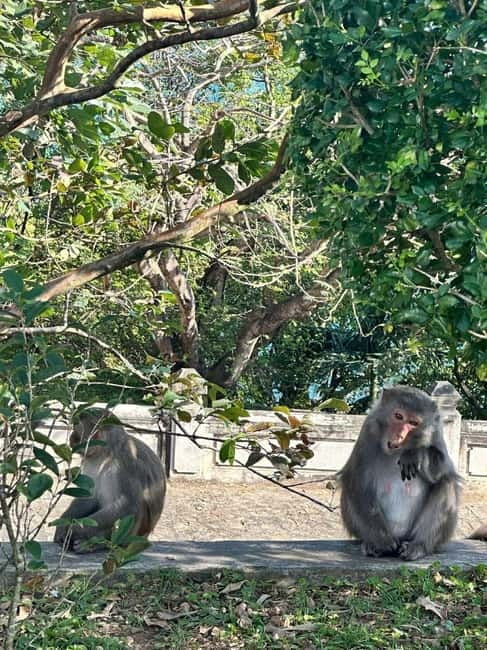 Hue: Private Car to/from Hoi An via Multi Attractions(1-Way) - Hai Van Pass and the road above the sea