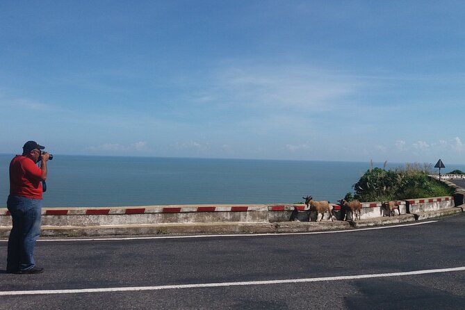 Hue to Hoi An by Private Car with Sightseeing Stops - Which kind of visitor should book it?