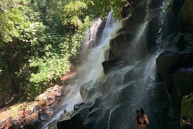Individual Bali Day Trip with Private Driver and Free WiFi - Tanah Lot and Bali’s western rice country