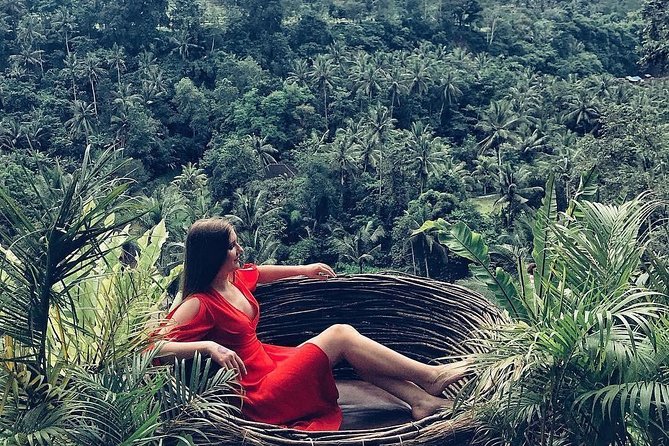 Individual Bali Day Trip with Private Driver and Free WiFi - East Bali requires an early start
