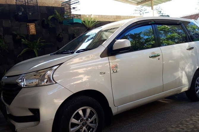 Individual Bali Day Trip with Private Driver and Free WiFi - North and central Bali choices