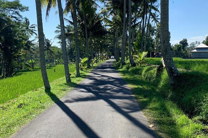 Individual Bali Day Trip with Private Driver and Free WiFi - Seminyak, Canggu, and modern Bali