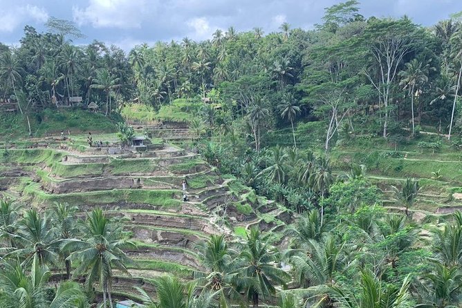 Individual Bali Day Trip with Private Driver and Free WiFi - The driver question matters
