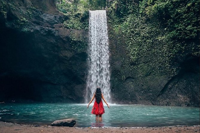 Individual Private Car Hire with English Speaking Chauffeur - Tirta Empul and the Sacred Spring