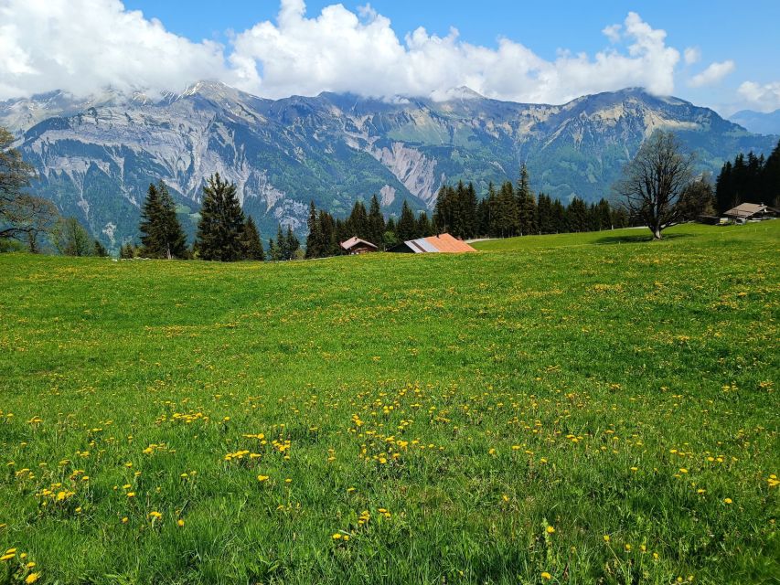 Interlaken: Highlights Tour with a Local by Private Car - Key points at a glance