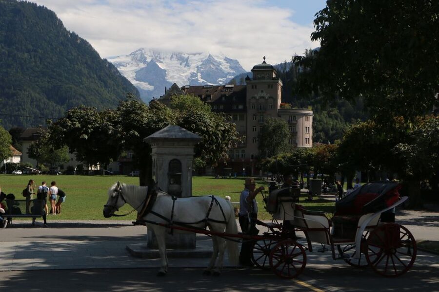 Interlaken: Highlights Tour with a Local by Private Car - What a full day can realistically feel like