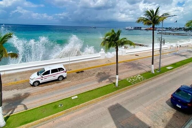 Island Tour With Private Driver - Local Food Stops and Tastings