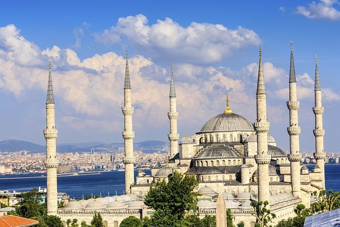 Istanbul Airport Transfer: New Airport IST to Istanbul in Luxury Van - Why the private format can be worth $74.91