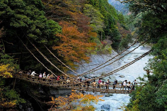 Iya Valley All Must-Sees Private Chauffeur Full-day Tour with a Driver - Why a private car makes sense in Iya Valley