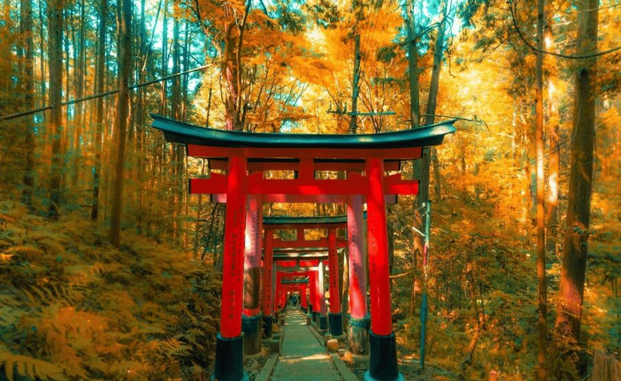 Japan: Private 3, 5, 7, or 10-Day Tour with Driver - Key points at a glance