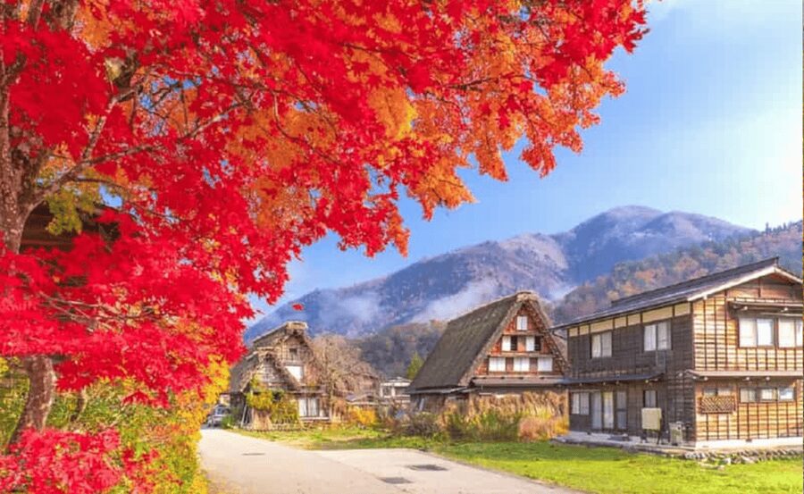 Japan: Private 3, 5, 7, or 10-Day Tour with Driver - Mount Fuji and Hakone: views depend on the sky