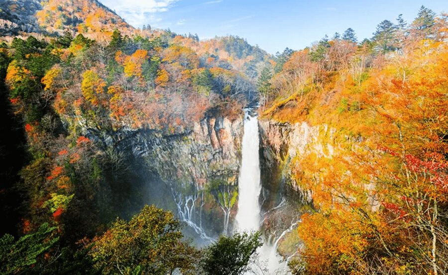 Japan: Private 3, 5, 7, or 10-Day Tour with Driver - Nagano: snow monkeys and temple calm