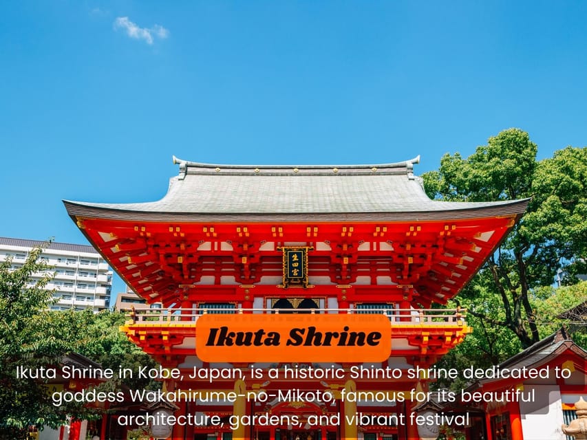 Japan: Private 3, 5, 7, or 10-Day Tour with Driver - The Tokyo to Osaka transfer is the hardest day