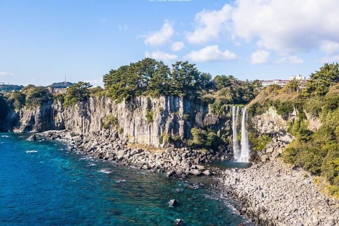 Jeju Customized Private Car Tour - Western Jeju: gardens, tea, coast, and optional activities
