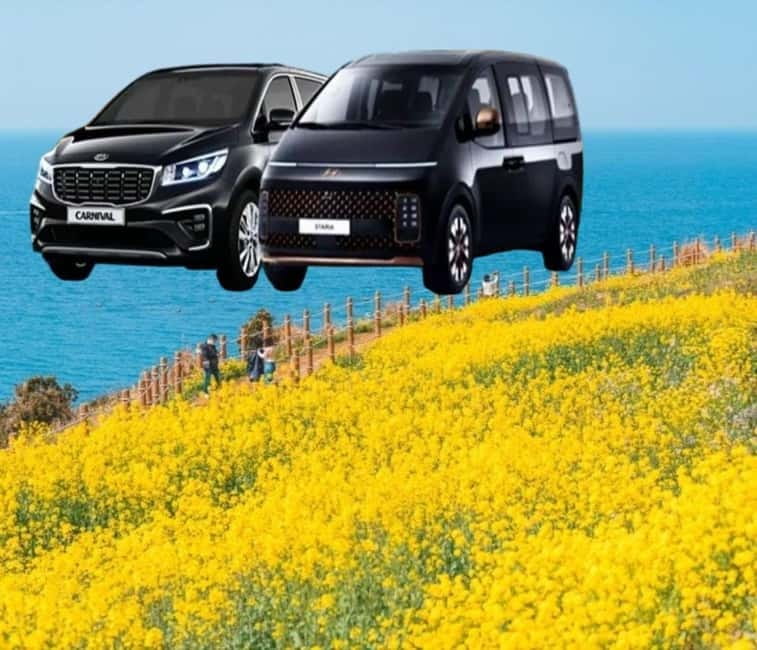 Jeju Island: Private Car Charter Tour - The eastern route: volcanoes, lava tubes, and Hamdeok Beach