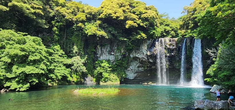 Jeju: Popular Sightseeing Private Car Charter Tour - The west route: gardens, cafés, and the windmill coast