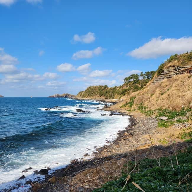 Jeju: Popular Sightseeing Private Car Charter Tour - Planning your pickup and nine-hour day