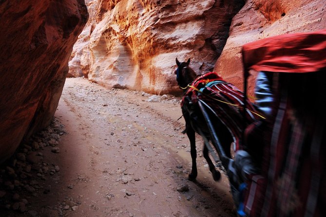 Jordan Private Driver Services | The Jordanian Mappers - Petra transfers and time management