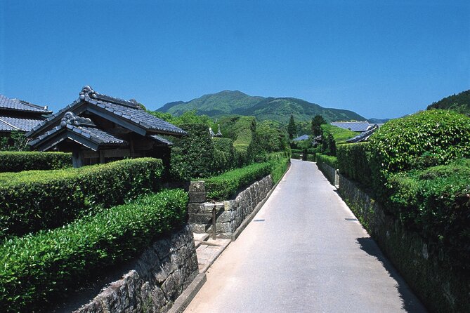 Kagoshima Private & Custom Tour with Licensed Guide and Vehicle - A private Kagoshima day built around your priorities