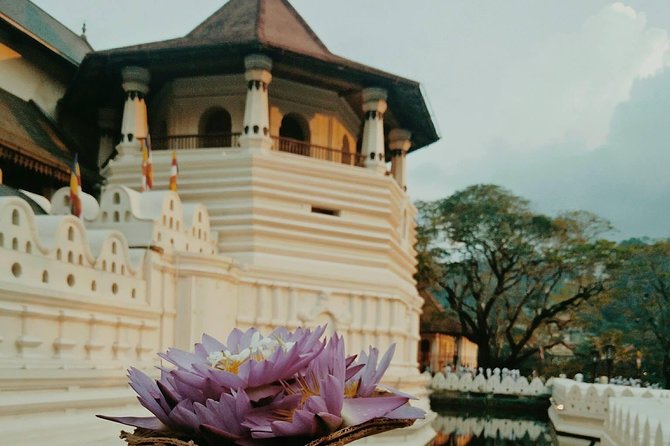 Kandy City guide Tour and day trip private luxury car and van - Peradeniya Royal Botanical Gardens
