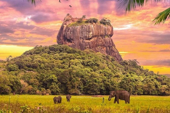 Kandy City Tour & Famous Ambuluwawa Tower with Friendly Chauffeur - Peradeniya Royal Botanical Gardens