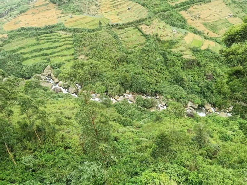 Kandy: Nuwara-Eliya Trip with Driver-Guide & Scenic Stops - Tea country and a working factory