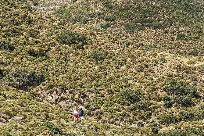 Karpathos: Traditional Olympos Tour with Driver Guide - The drive from Pigadia to northern Karpathos