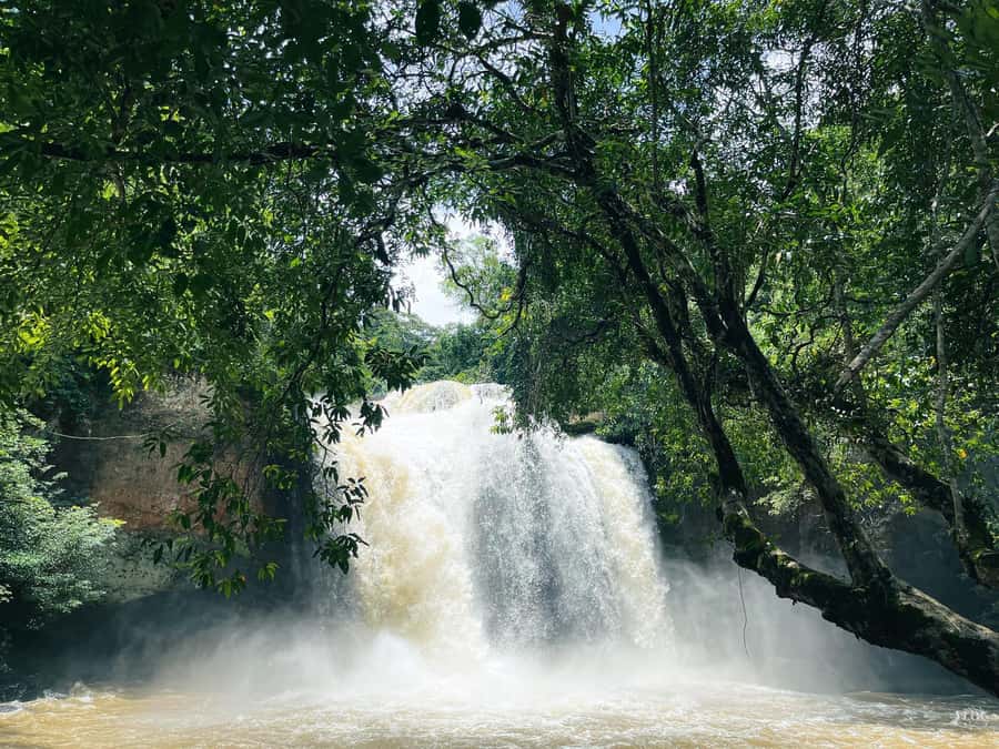 Khao Yai: Private Custom Tour with Driver From Bangkok - Why a private Khao Yai day from Bangkok makes sense